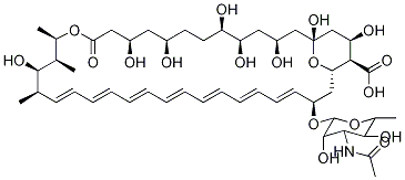 N-乙酰基两性霉素B