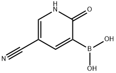 5-Cyano-1,2-dihydro-2-oxopyridine-3-boronic acid