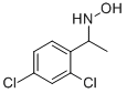 N-[1-(2,4-DICHLORO-PHENYL)-ETHYL]-HYDROXYLAMINE