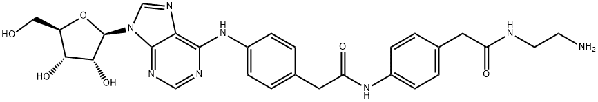 ADENOSINE AMINE CONGENER