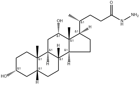 Hydrazine amide of deoxycholic acid