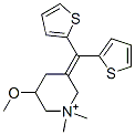 timepidium