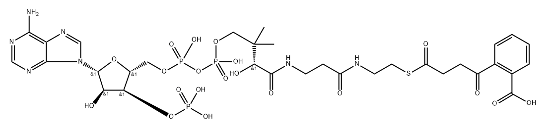 4-(2'-carboxyphenyl)-4-oxobutyryl-coenzyme A ester