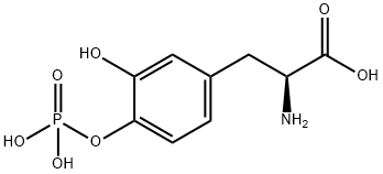 Levodopa 4'-Phosphate