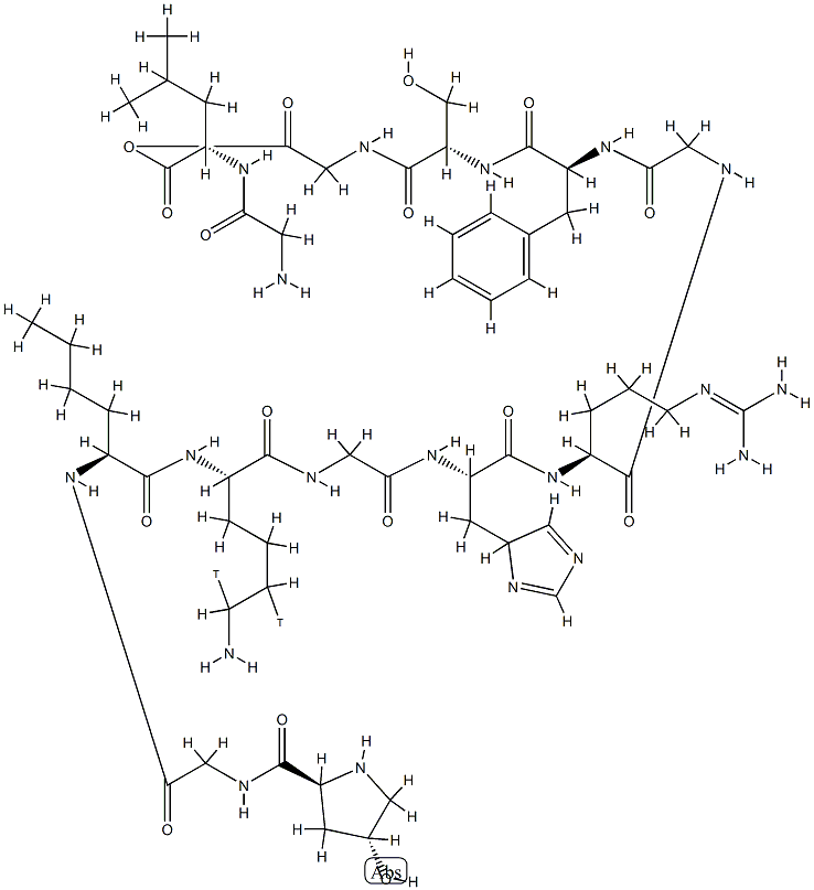 collagen I, alpha chain (98-110)
