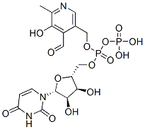 uridine diphosphopyridoxal