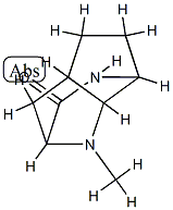 2,7-Methano-1H-cyclopentapyrazin-3(2H)-one,hexahydro-1-methyl-,(2-alpha-,4a-bta-,7-alpha-,7a-bta-)-(9CI)