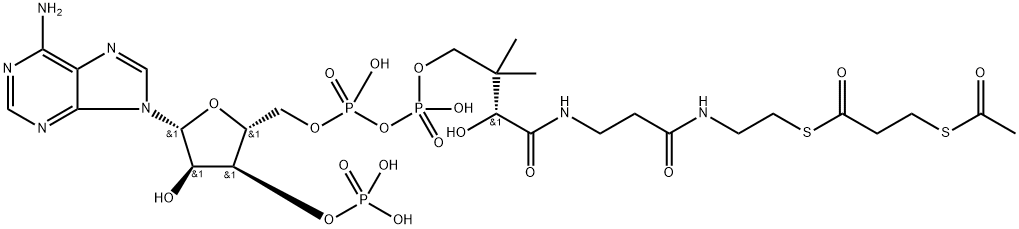 S-acetyl-3-mercaptopropanoyl-coenzyme A