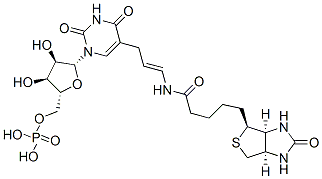 5-(N-biotinyl-3-aminoallyl)uridine 5'-monophosphate