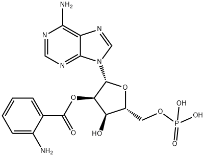 2'-O-anthraniloyl AMP