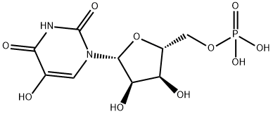 5-Hydroxyluridine-5'-Monophosphate