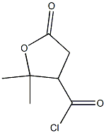 Valeric acid, 3-(chloroformyl)-4-hydroxy-4-methyl-, gamma-lactone (6CI)