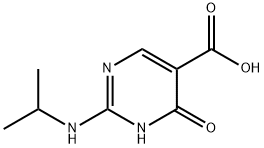5-Pyrimidinecarboxylic acid, 1,4-dihydro-2-[(1-methylethyl)amino]-4-oxo- (9CI)