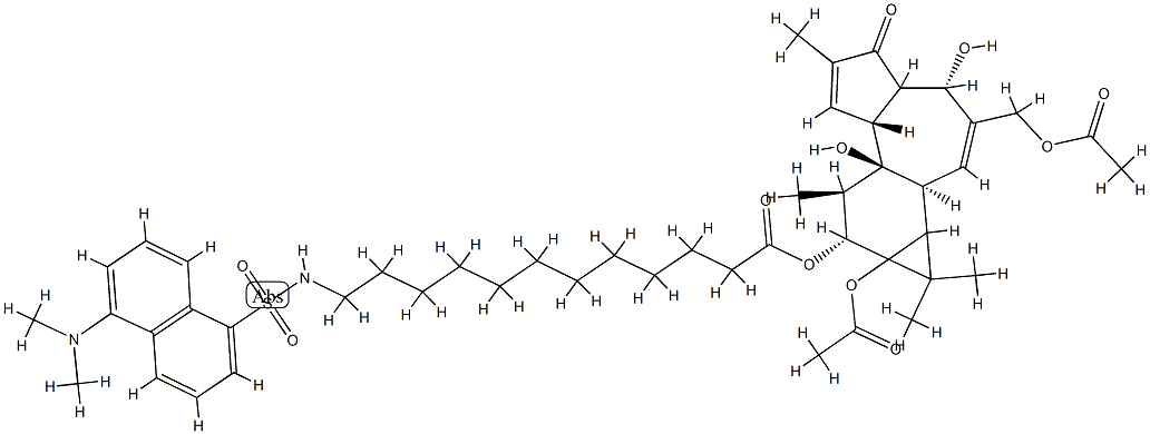 12-O-(12(N)-dansylaminododecanoyl)phorbol 12,20-diacetate