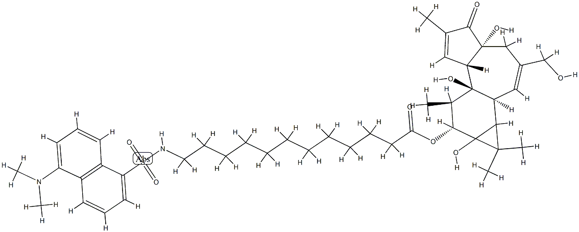 12-O-(12-N-dansylaminododecanoyl)phorbol