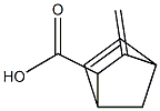 5-Norbornene-2-carboxylicacid,3-methylene-(6CI)