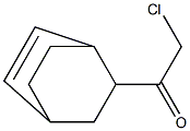 Ketone, bicyclo[2.2.2]oct-5-en-2-yl chloromethyl (6CI)