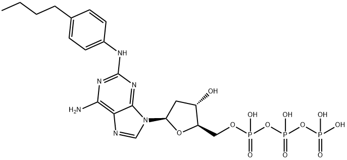 4-n-butylanilino dATP