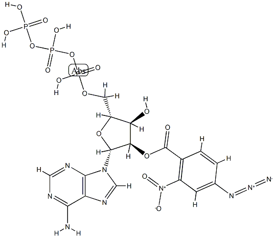 3'(2')-O-(2-nitro-4-azidobenzoyl)adenosine 5'-triphosphate