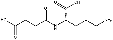 N(2)-succinylornithine