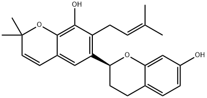 小构树醇 B