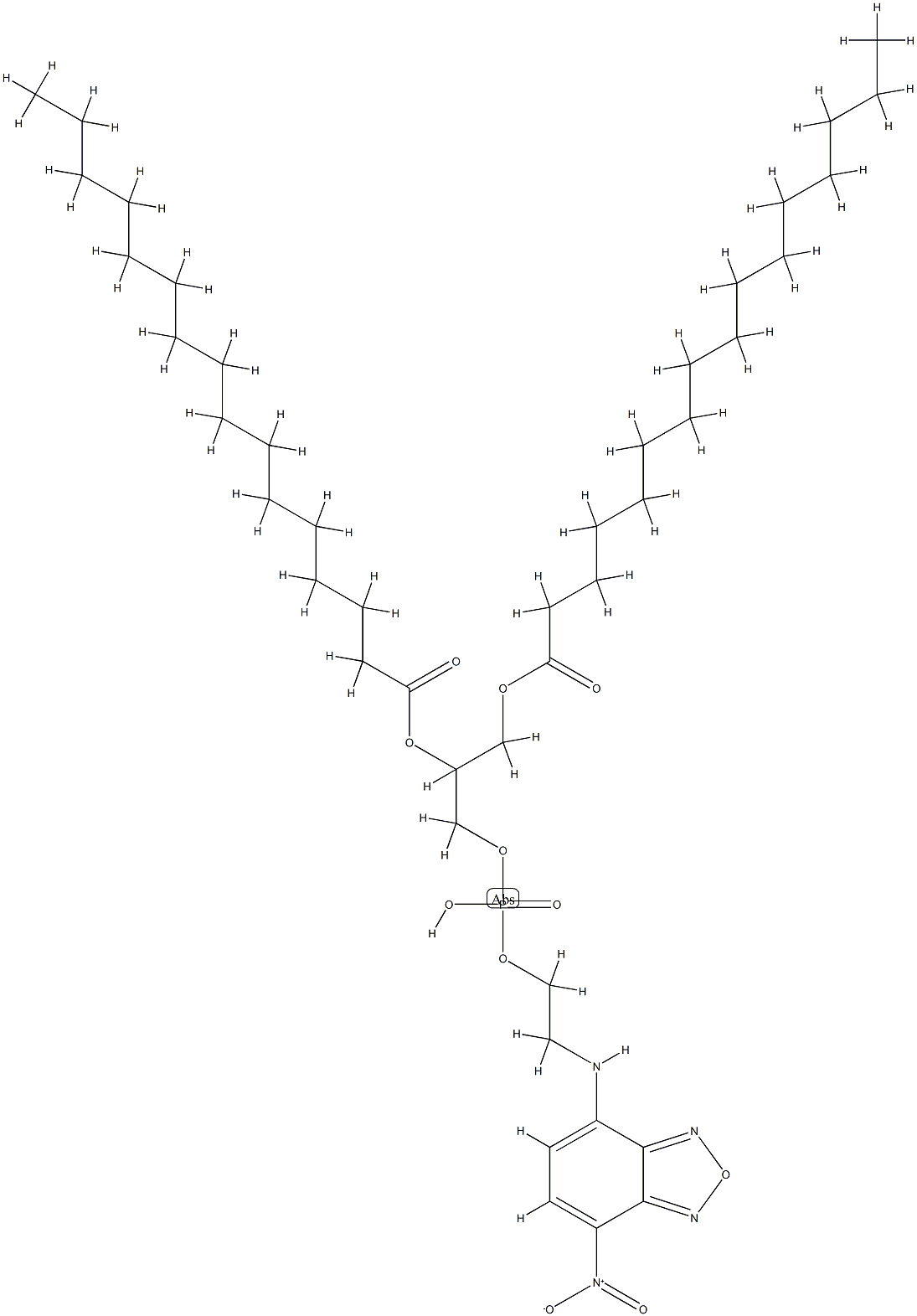 N-4-nitrobenzo-2-oxa-1,3-diazoledipalmitoyl phosphatidylethanolamine