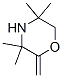 Morpholine,  3,3,5,5-tetramethyl-2-methylene-