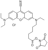 NIR-667 N-SUCCINIMIDYL ESTER