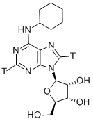 N 6-CYCLOHEXYLADENOSINE-[2,8-3H]