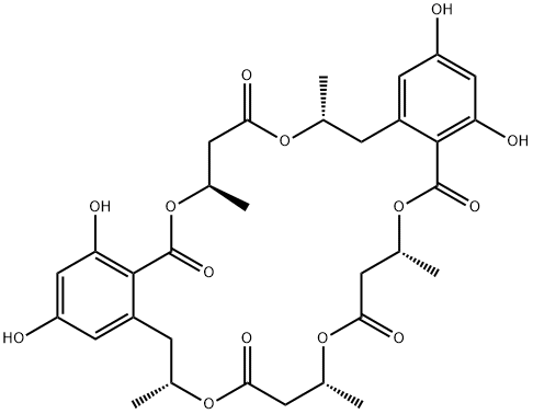 BK223 C