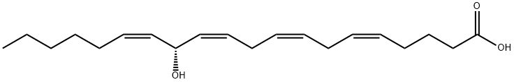 13-hydroxyeicosatetraenoic acid