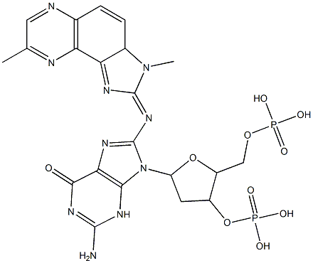 N(2)-(deoxyguanosin-8-yl)-2-amino-3,8-dimethylimidazo(4,5-f)quinoxaline 3',5'-diphosphate