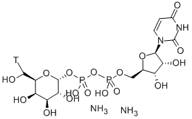 URIDINE 5'-DIPHOSPHO-GALACTOSE-[GALACTOSE-6-3H] AMMONIUM SALT