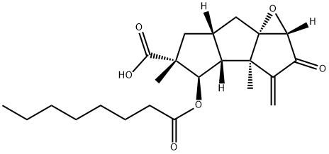 Phellodonic acid