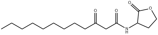 Pseudomonas aeruginosa autoinducer