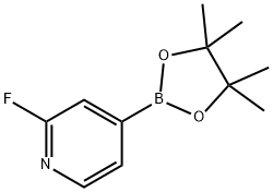 2-氟吡啶-4-硼酸频哪酯