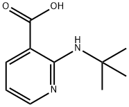 2-(叔丁基氨基)烟酸