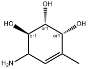 4-Cyclohexene-1,2,3-triol, 6-amino-4-methyl-, (1R,2R,3R)-rel- (9CI)