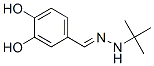 Benzaldehyde, 3,4-dihydroxy-, (1,1-dimethylethyl)hydrazone (9CI)