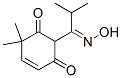 4-Cyclohexene-1,3-dione, 2-[1-(hydroxyimino)-2-methylpropyl]-6,6-dimethyl- (9CI)