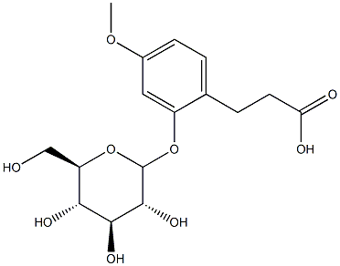 2-O-BETA-D-葡糖基氧基-4-甲氧基苯丙酸
