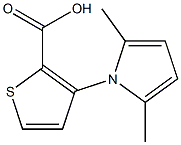 3-(2,5-dimethyl-1H-pyrrol-1-yl)thiophene-2-carboxylic acid