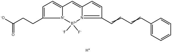 BODIPY 581/591 CARBOXYLIC ACID