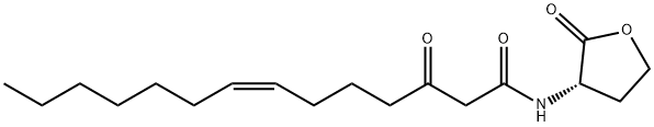 N-3-oxo-tetradec-7(Z)-enoyl-L-Homoserine lactone