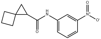 Spiro[2.3]hexane-1-carboxamide, N-(3-nitrophenyl)- (9CI)