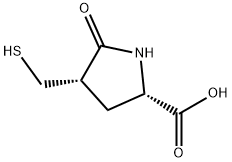 Proline, 4-(mercaptomethyl)-5-oxo-, cis- (9CI)