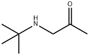 2-Propanone, 1-[(1,1-dimethylethyl)amino]- (9CI)