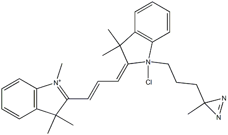4,4-azo-n-pentyl-1'-methyl-3,3,3',3'-tetramethylindocarbocyanine