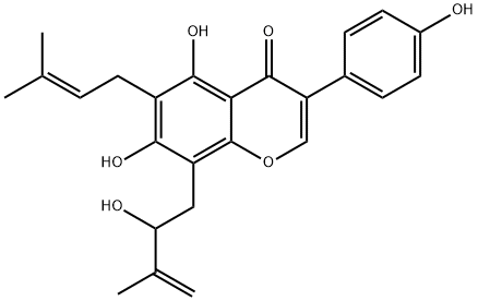 ERYSENEGALENSEIN E