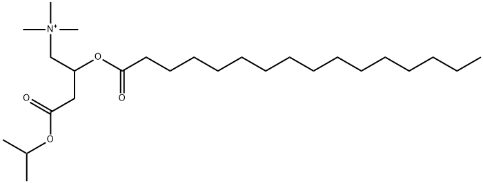 palmitoylcarnitine isopropyl ester